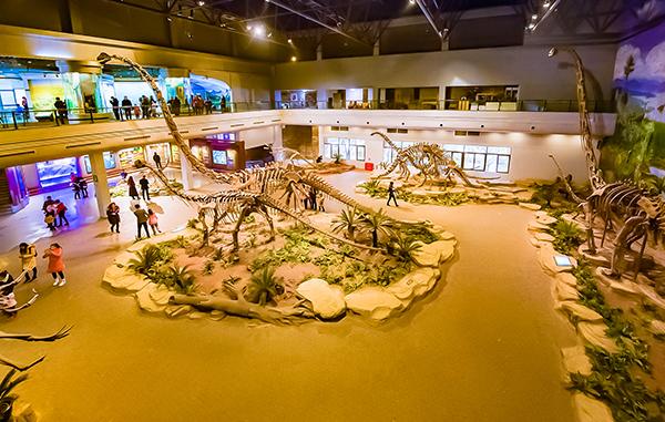 自贡：打造独具特色的自贡文旅名城核心区 大安天府旅游名县获授牌_fororder_6自贡恐龙博物馆（摄影-廖志全）