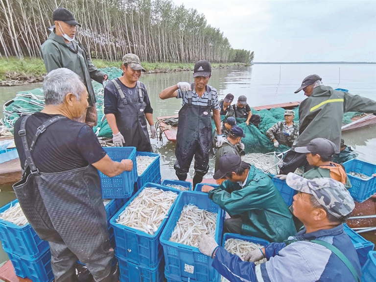 “南魚北遊” 湖水生金