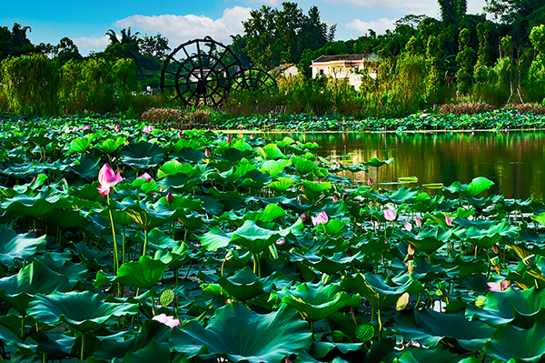 自贡：打造独具特色的自贡文旅名城核心区 大安天府旅游名县获授牌_fororder_9沿滩区仙市镇百胜村（摄影-廖志全）