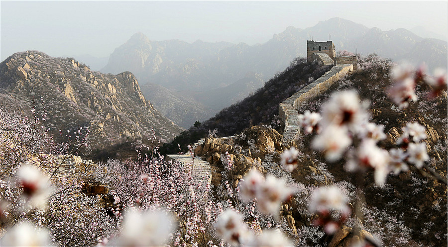 Badaling Great Wall (AAAAA)_fororder_长城1