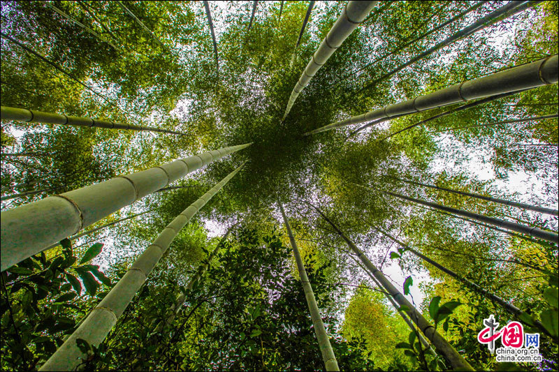 湖南崀山丹霞奇景 美如一幅瑰丽画卷