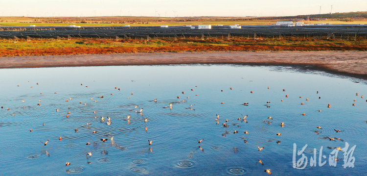 河北尚义：压减地下水开采 改善生态环境
