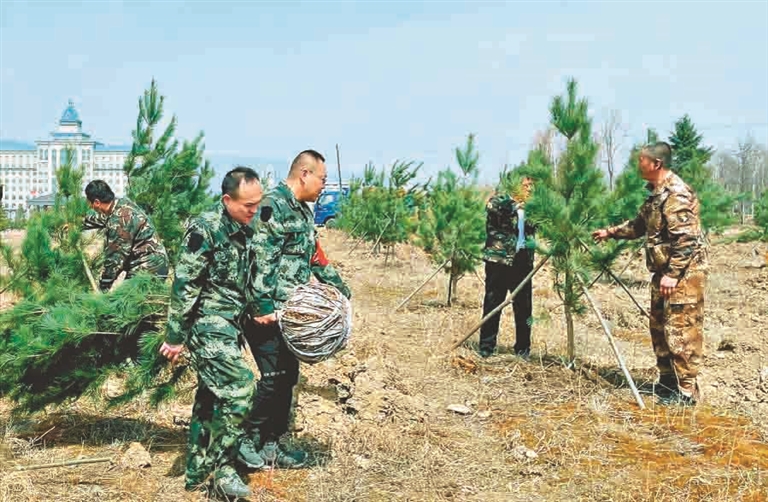 伊春森工在行動:學習塞罕壩精神 書寫“林區三問”新答卷