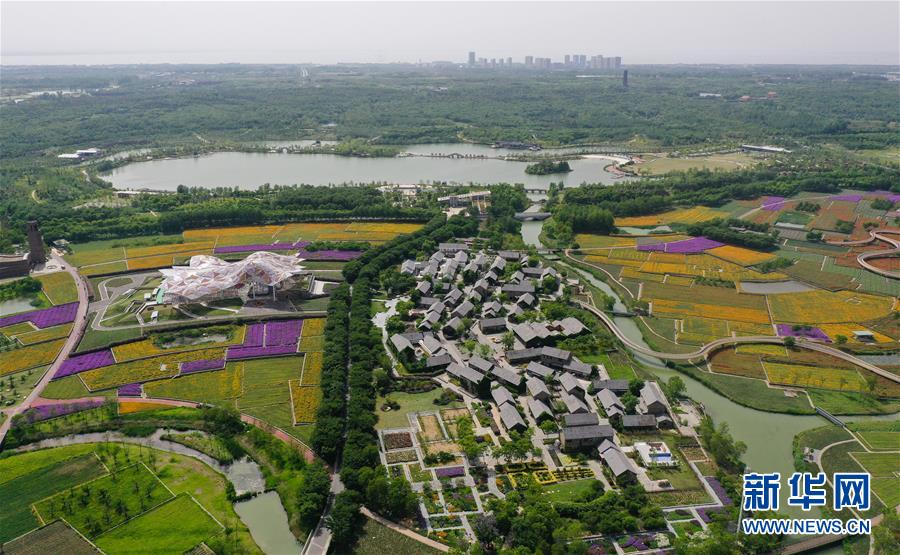 江苏宿迁：衲田花海 五彩大地