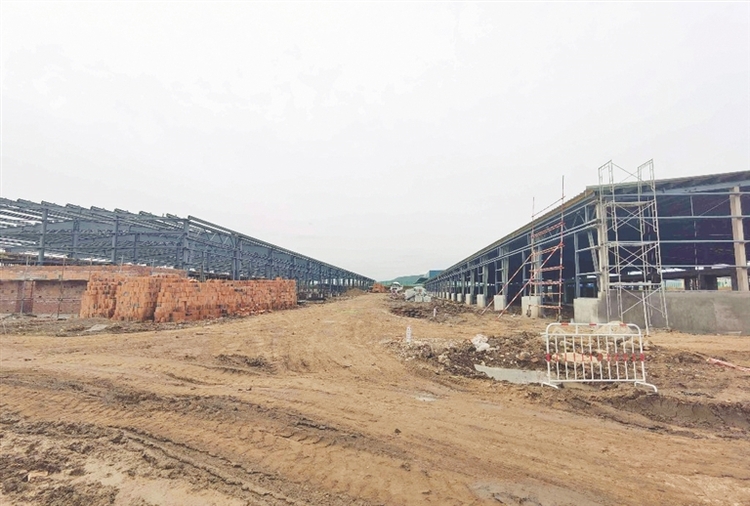 牡丹江陆港物流园项目建设有序推进