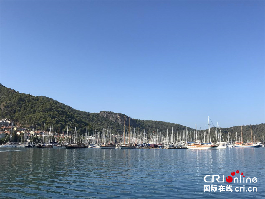 图片默认标题_fororder_6_副本