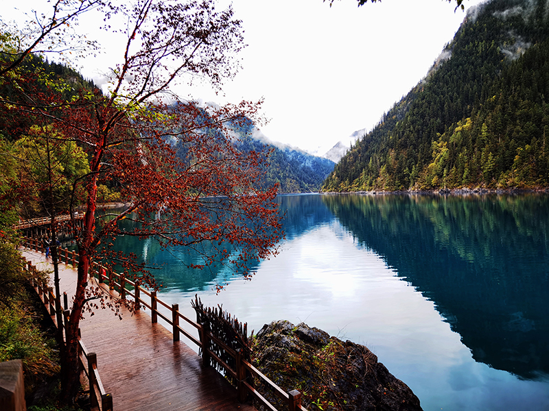 Reapertura Completa del Valle de Jiuzhaigou, “El Paraíso en la Tierra” continúa hermoso_fororder_3