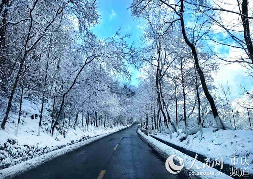 圖片默認標題_fororder_生態優美的風景。城口縣文旅委供圖