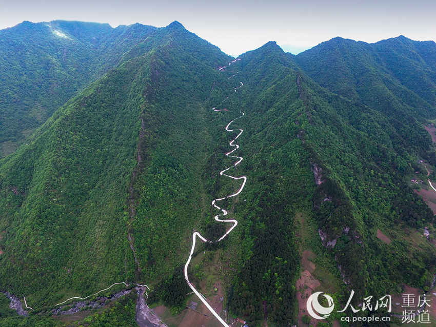 圖片默認標題_fororder_大巴山有了通途。 謝險峰 攝