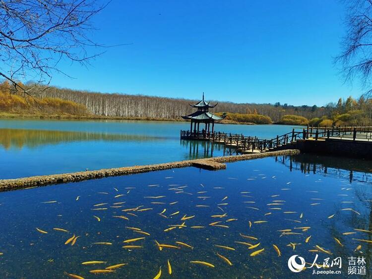 在吉林：秋天是多彩的、浪漫的、靜美的