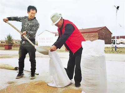 讓農村黨員成為鄉村振興“領頭雁”——康保推行農村黨員“三定兩有一經常”模式探訪