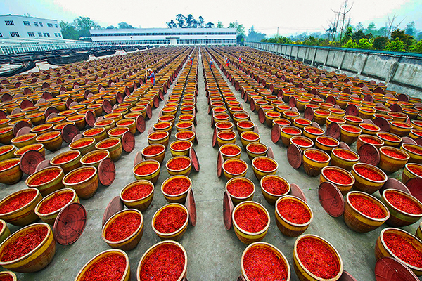 郫县豆瓣制作现场 供图 成都郫都区委宣传部