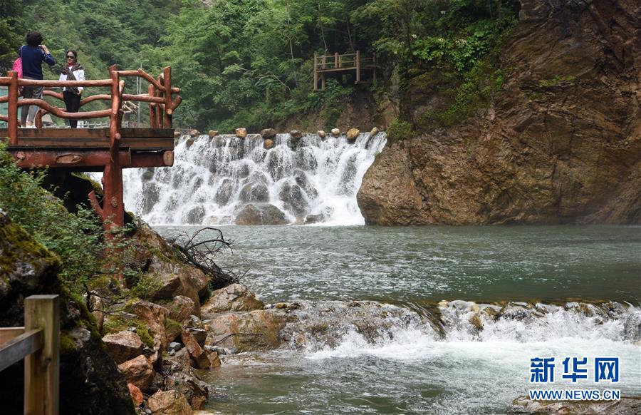 甘肃陇南：雾漫官鹅沟