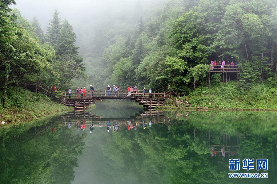 甘肃陇南：雾漫官鹅沟