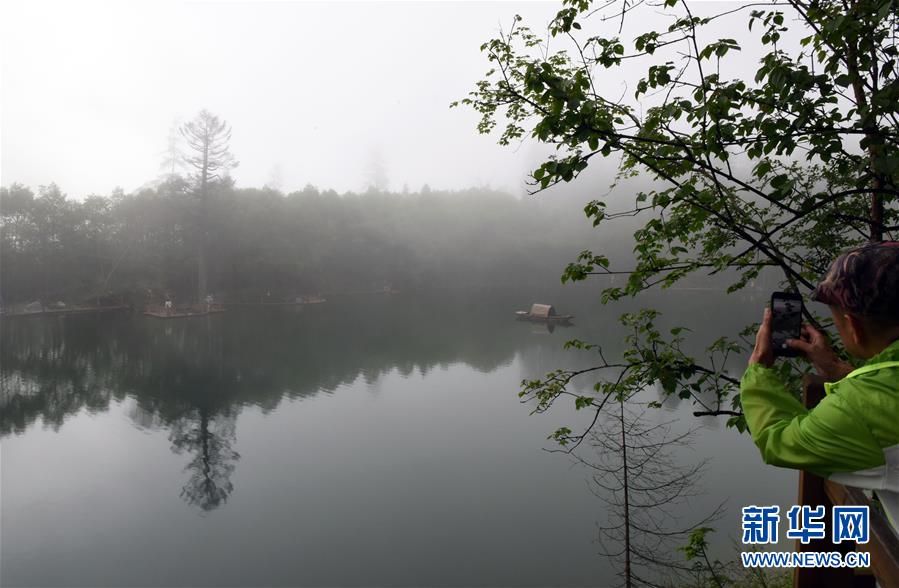 甘肃陇南：雾漫官鹅沟