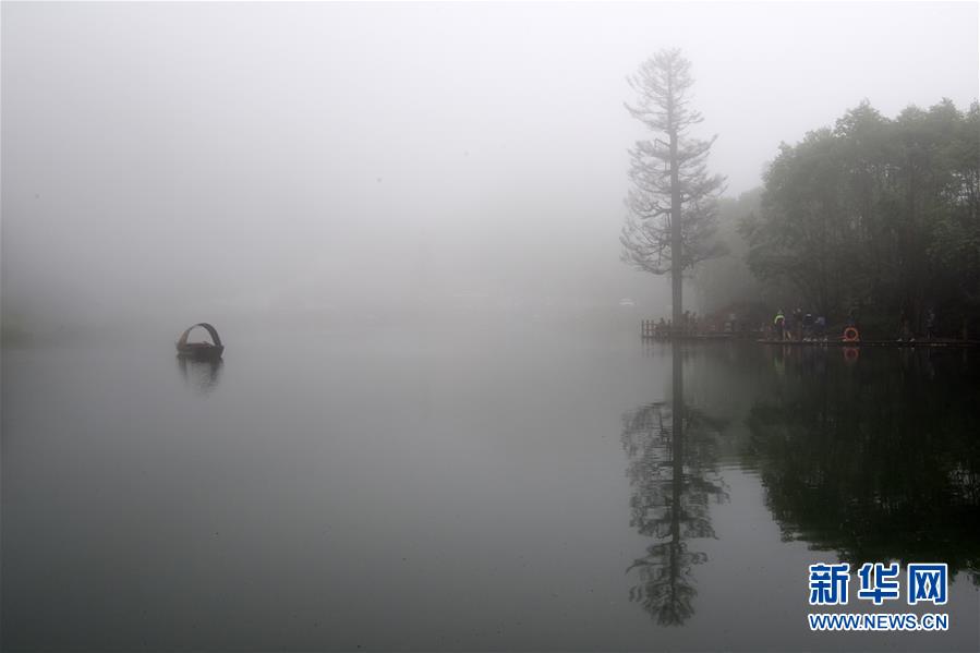 甘肃陇南：雾漫官鹅沟