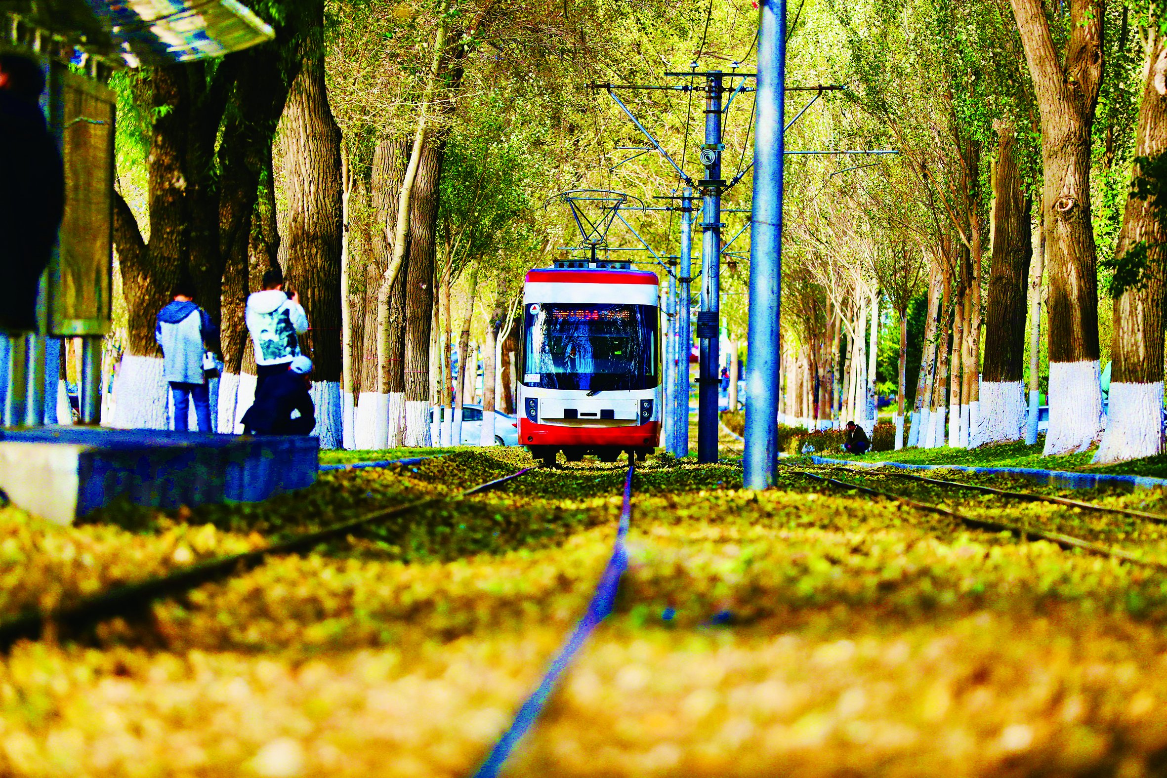 长春市春城大街有轨电车落叶景观艺术街区等你打卡