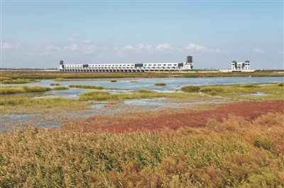 （环保图文）河长制助港城治水再发力—连云港总河长话治水