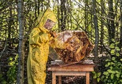 【汽车频道 资讯+要闻列表】兰博基尼备受期待的混合动力车型2023年问世