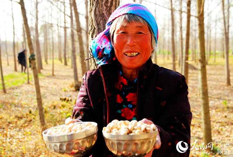江蘇邳州打造銀杏小鎮 從賣果賣葉到賣風景