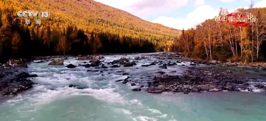 【祖国颂·美丽中国】新疆阿尔泰山镶“碧玉” 喀纳斯湖迎金秋