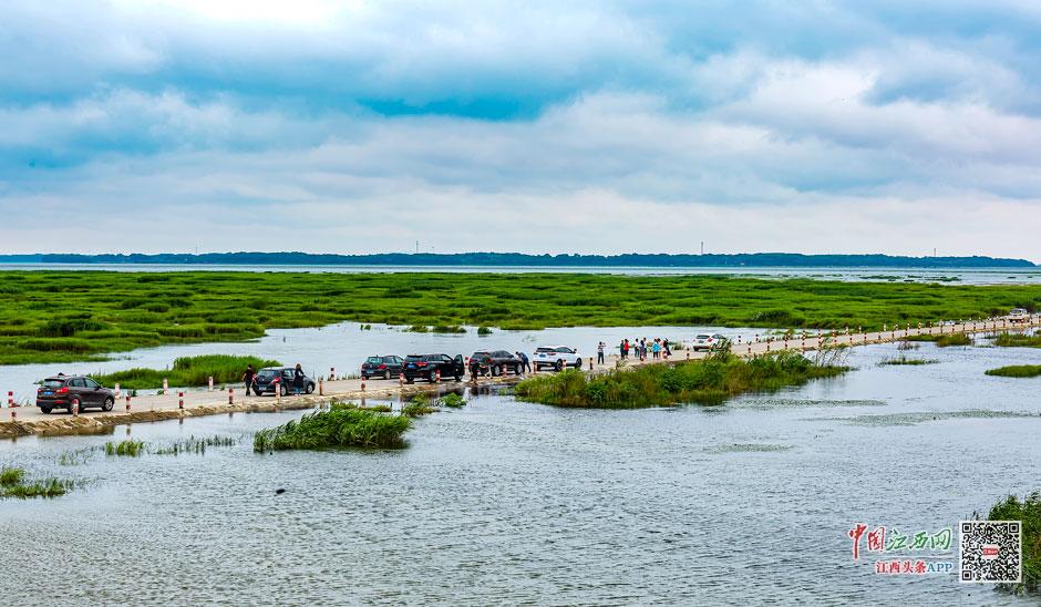 圖片默認標題_fororder_00301595463_46091fb0