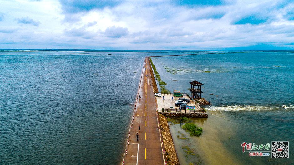 圖片默認標題_fororder_00301595464_170e6238