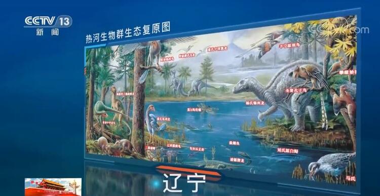 恐龙的祖先是什么？“化身为石”分几步？死后为何头朝东方？......穿越亿万年，一起探索远古的奥秘
