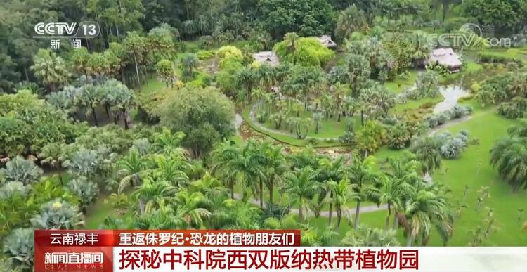 恐龙的祖先是什么？“化身为石”分几步？死后为何头朝东方？......穿越亿万年，一起探索远古的奥秘