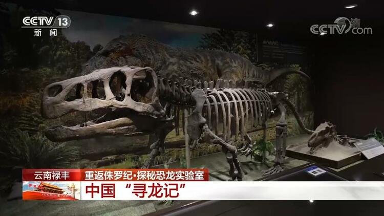恐龙的祖先是什么？“化身为石”分几步？死后为何头朝东方？......穿越亿万年，一起探索远古的奥秘