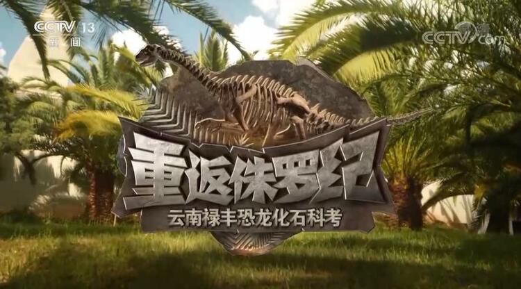 恐龙的祖先是什么？“化身为石”分几步？死后为何头朝东方？......穿越亿万年，一起探索远古的奥秘