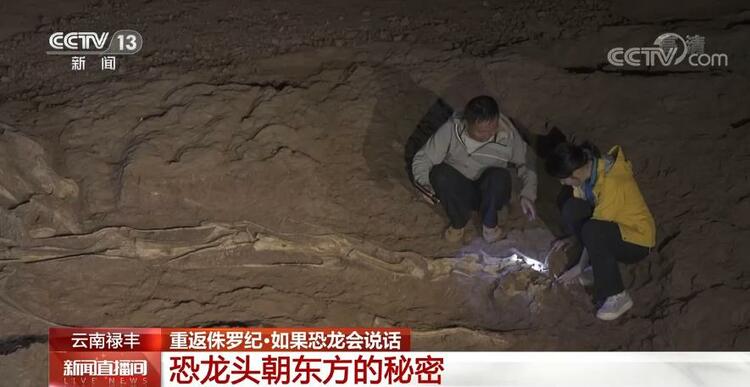 恐龙的祖先是什么？“化身为石”分几步？死后为何头朝东方？......穿越亿万年，一起探索远古的奥秘