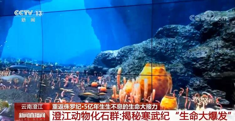 恐龙的祖先是什么？“化身为石”分几步？死后为何头朝东方？......穿越亿万年，一起探索远古的奥秘