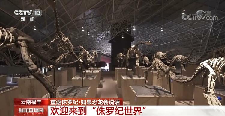 恐龙的祖先是什么？“化身为石”分几步？死后为何头朝东方？......穿越亿万年，一起探索远古的奥秘