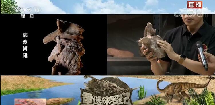 恐龙的祖先是什么？“化身为石”分几步？死后为何头朝东方？......穿越亿万年，一起探索远古的奥秘