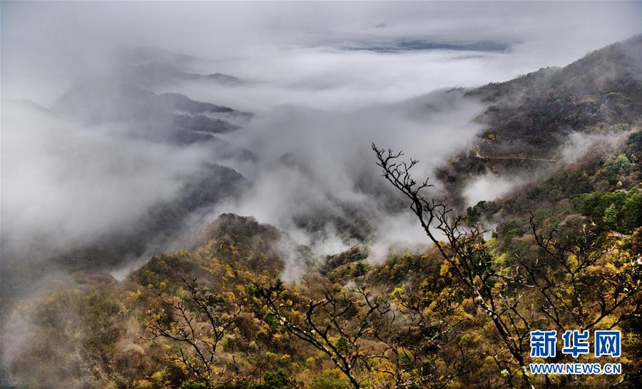 航拍陕西南宫山 云雾缭绕 层林尽染