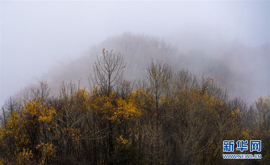 航拍陕西南宫山 云雾缭绕 层林尽染