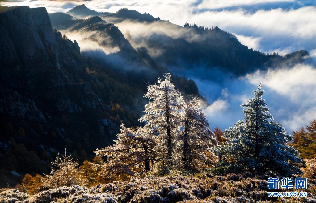 【“飛閱”中國】賞蘆芽秋色 觀漫山雲海_fororder_4