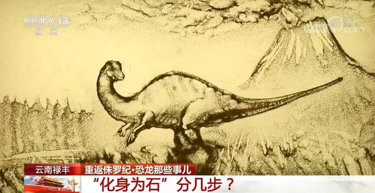 恐龙的祖先是什么？“化身为石”分几步？死后为何头朝东方？......穿越亿万年，一起探索远古的奥秘
