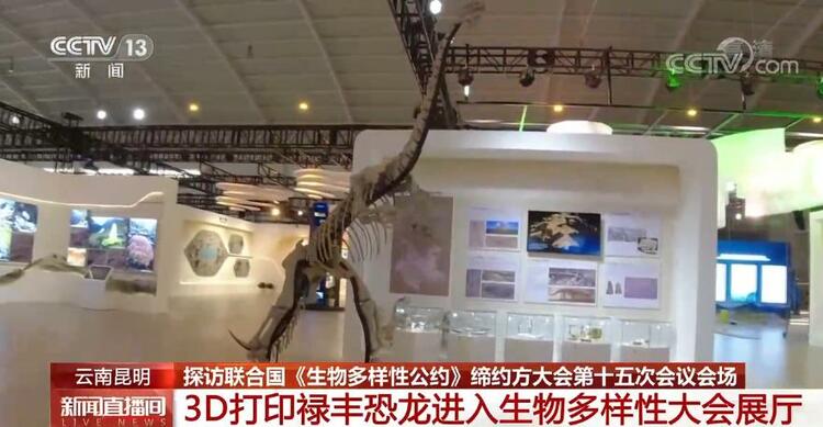 恐龙的祖先是什么？“化身为石”分几步？死后为何头朝东方？......穿越亿万年，一起探索远古的奥秘