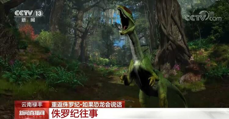 恐龙的祖先是什么？“化身为石”分几步？死后为何头朝东方？......穿越亿万年，一起探索远古的奥秘