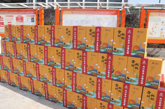 【OK】【B】重慶合川向全國六市多家醫院捐贈20噸枇杷 致敬抗“疫”逆行者