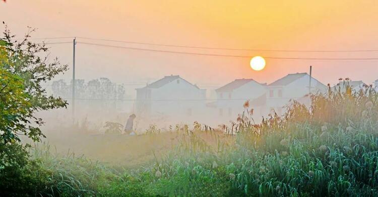 無錫:發現清晨的小美好