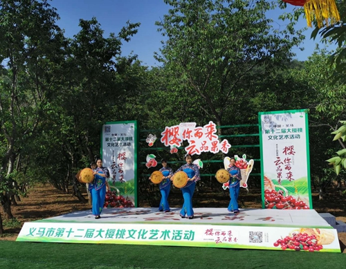 OK【河南在線】河南省義馬市東區街道辦：大櫻桃鋪就群眾致富路