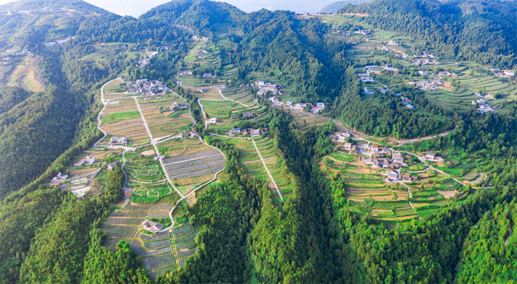 广元旺苍：全面推进“广旺一体化”迈向发展振兴路_fororder_东河镇凤阳村现代农业园区-供图-旺苍县委宣传部