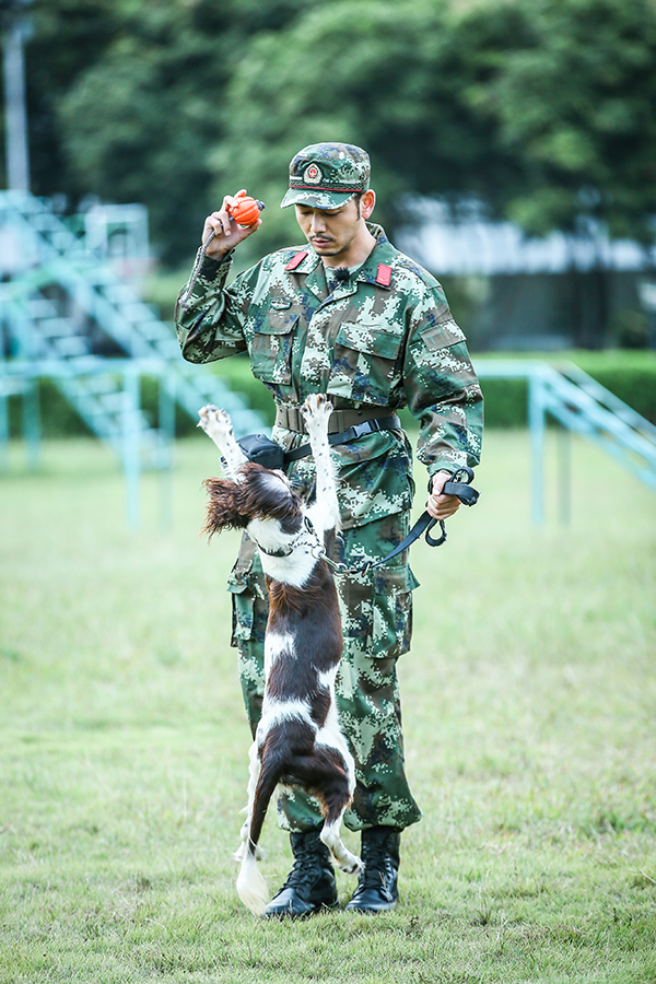 图片默认标题_fororder_亲和训练-3