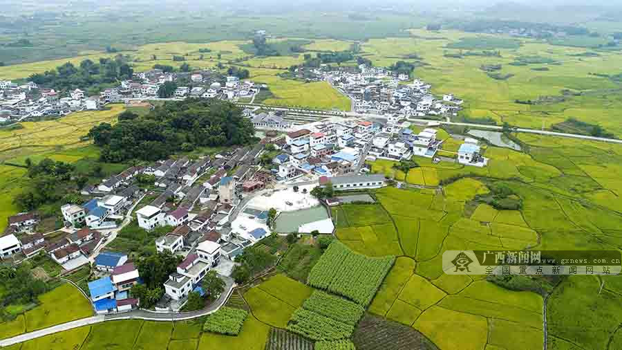 广西柳城：仫佬山乡田园如画