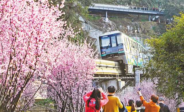 【城市遠洋帶圖】綠色化 讓重慶主城都市區底色更美