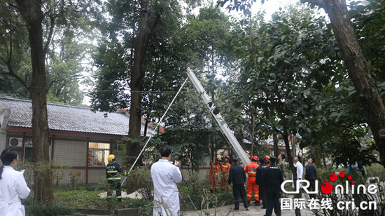 已过审【社会民生】精神病人被困树上 消防员借助塔吊成功救人