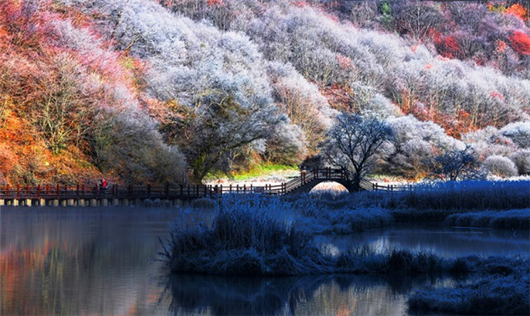 【急稿】【湖北】【CRI原创】湖北神农架景区2019旅游推介会在上海举行